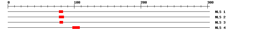 NLS