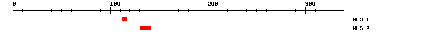 NLS
