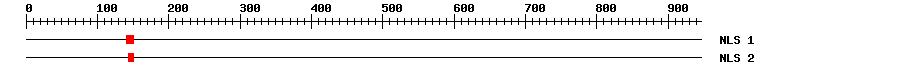 NLS