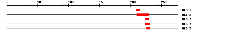 NLS