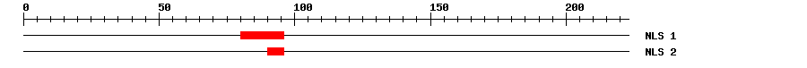 NLS