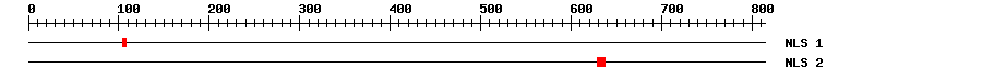 NLS