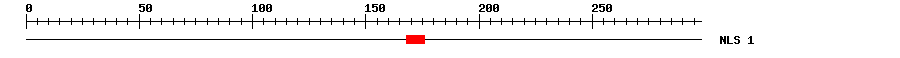NLS