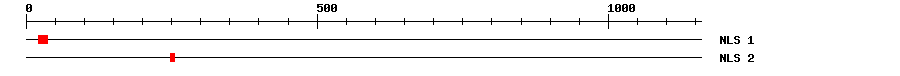 NLS
