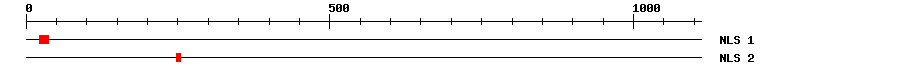 NLS