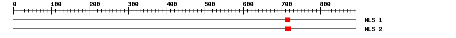 NLS