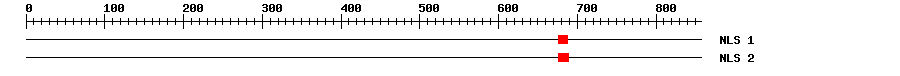 NLS