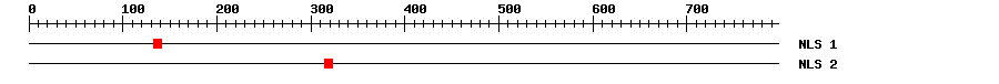 NLS