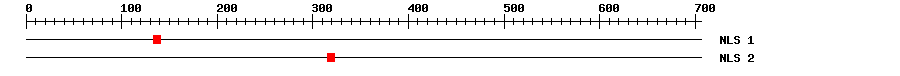 NLS