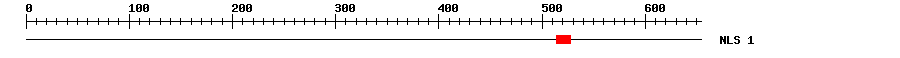NLS