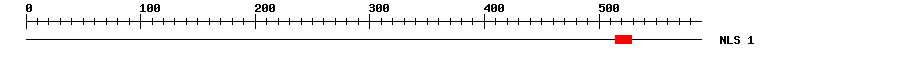 NLS