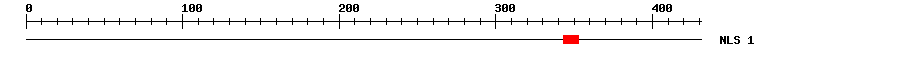 NLS