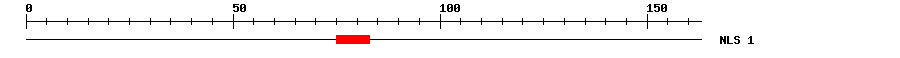 NLS