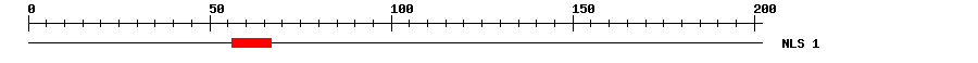 NLS