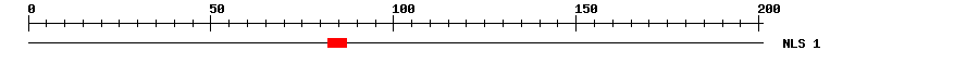 NLS
