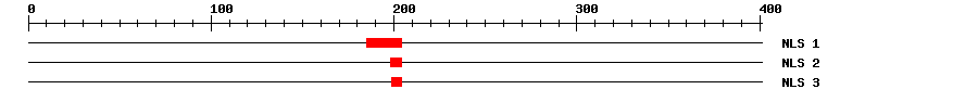 NLS