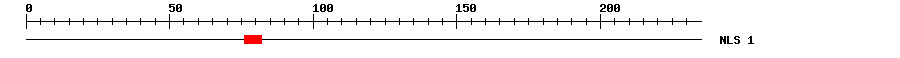 NLS