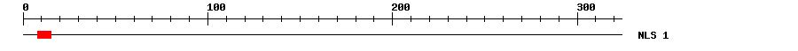NLS