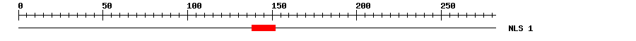 NLS