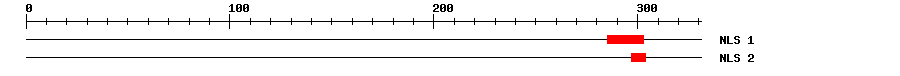 NLS