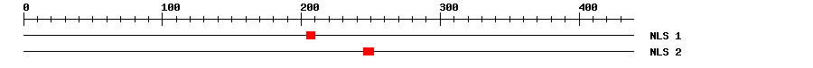 NLS