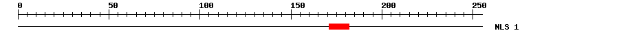 NLS