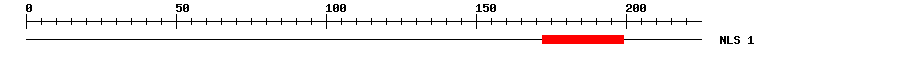 NLS