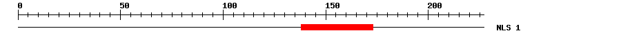 NLS