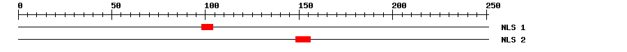 NLS