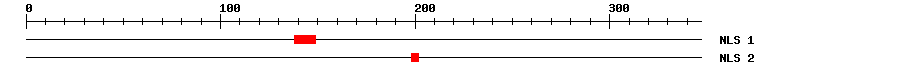 NLS