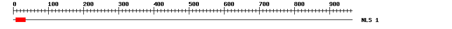 NLS