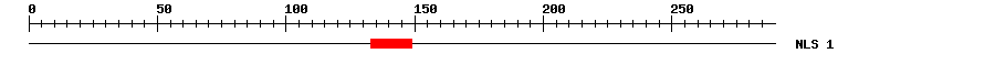 NLS