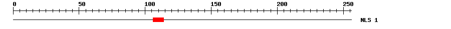 NLS