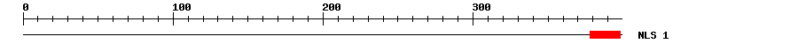 NLS