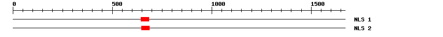 NLS