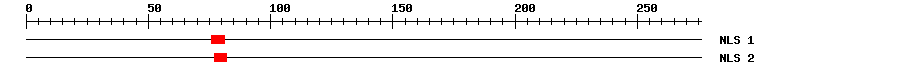 NLS