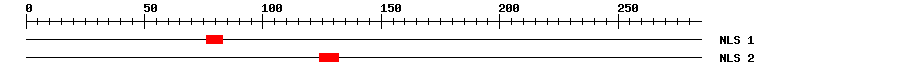 NLS