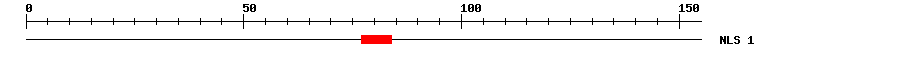 NLS