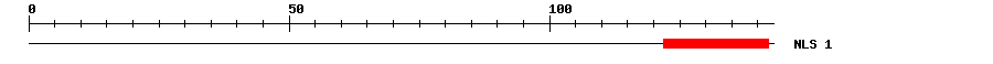 NLS