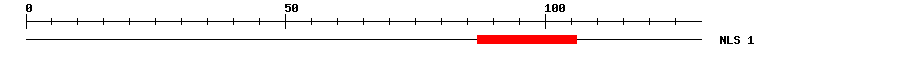 NLS