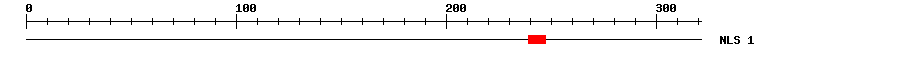 NLS