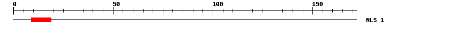 NLS
