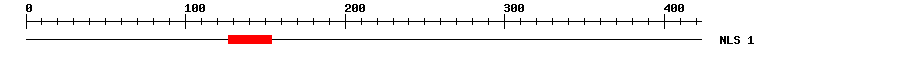 NLS
