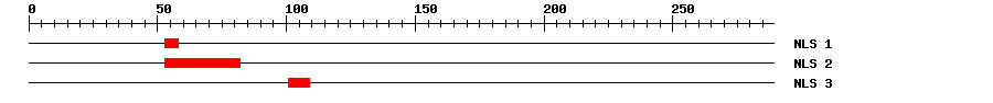 NLS
