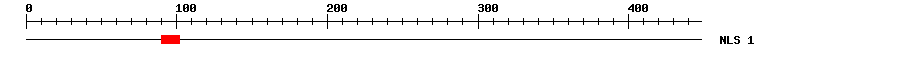 NLS