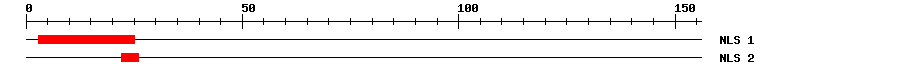 NLS