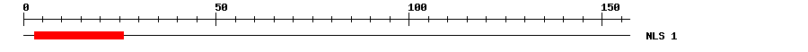 NLS