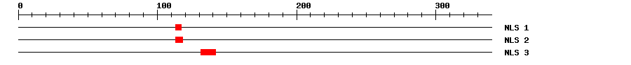 NLS