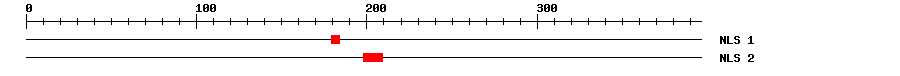 NLS