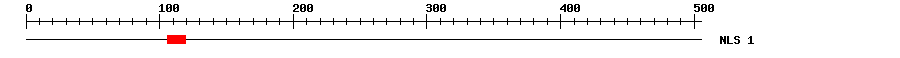 NLS